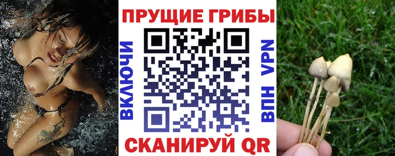 Галлюциногенные грибы прущие грибы  Бикин 